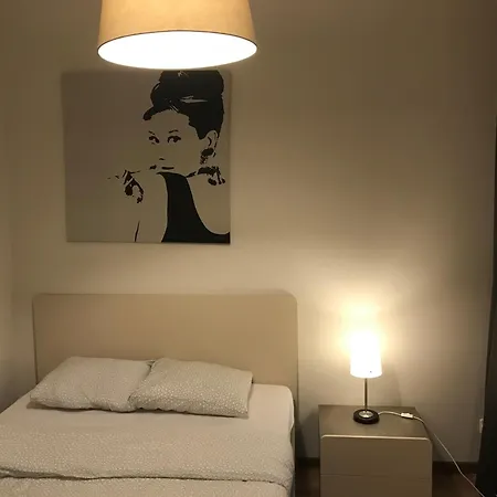 Mimosa * Poznan