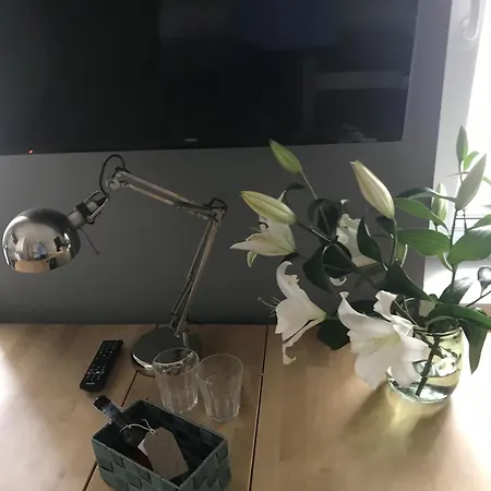 Homestay Mimosa Poznan