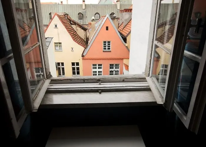 Mimosa 홈스테이 *